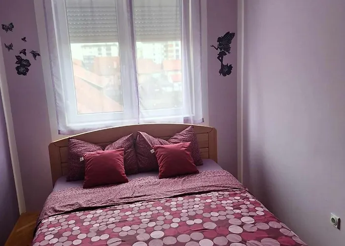 Lovely L Home Bn Centar -Rent A Car Automatic