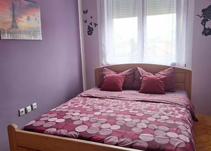 Lovely L Home Bn Centar -Rent A Car Automatic