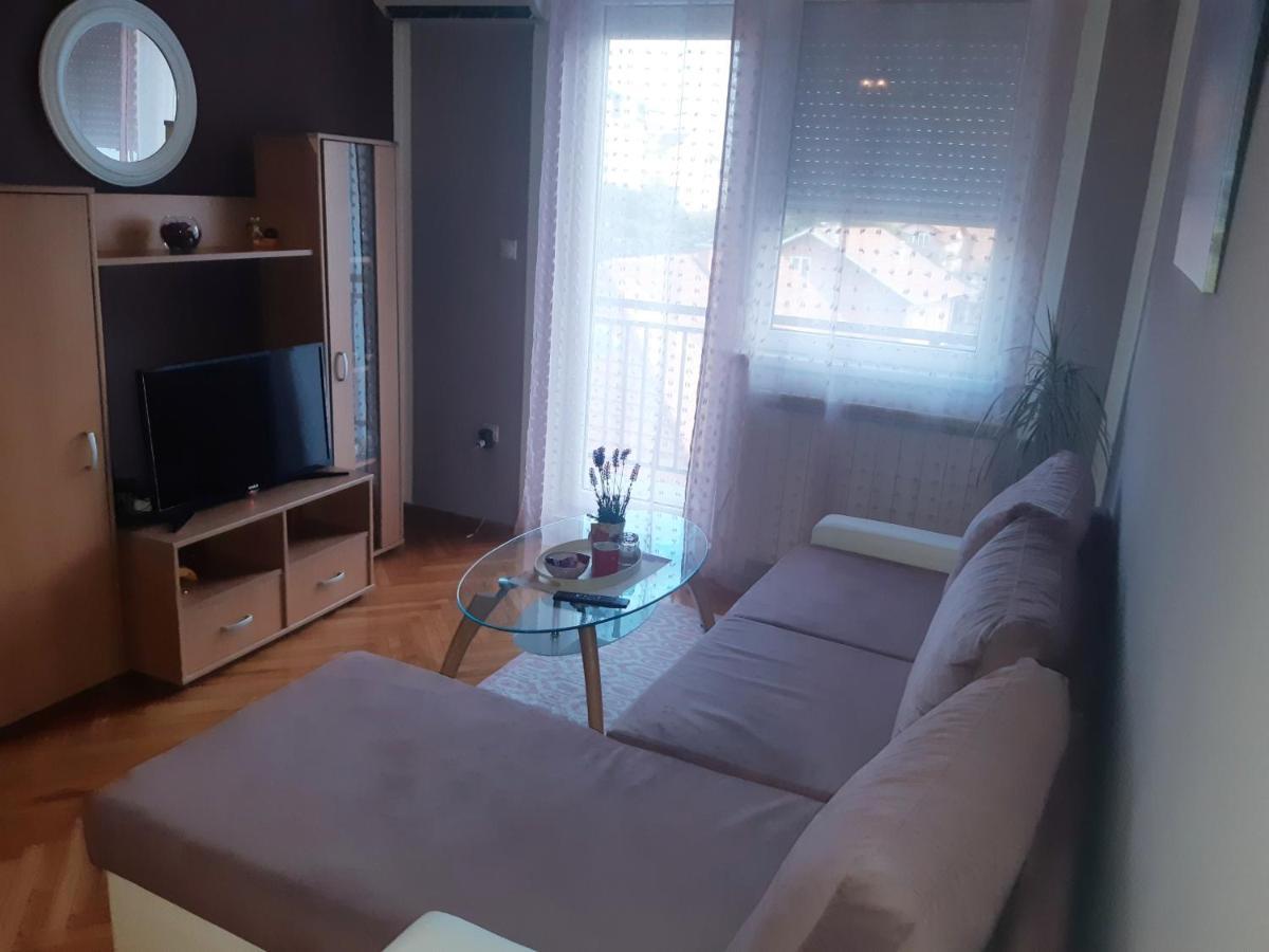Apartment Lovely L Bn Centar -rent A Car Automatic Bijeljina