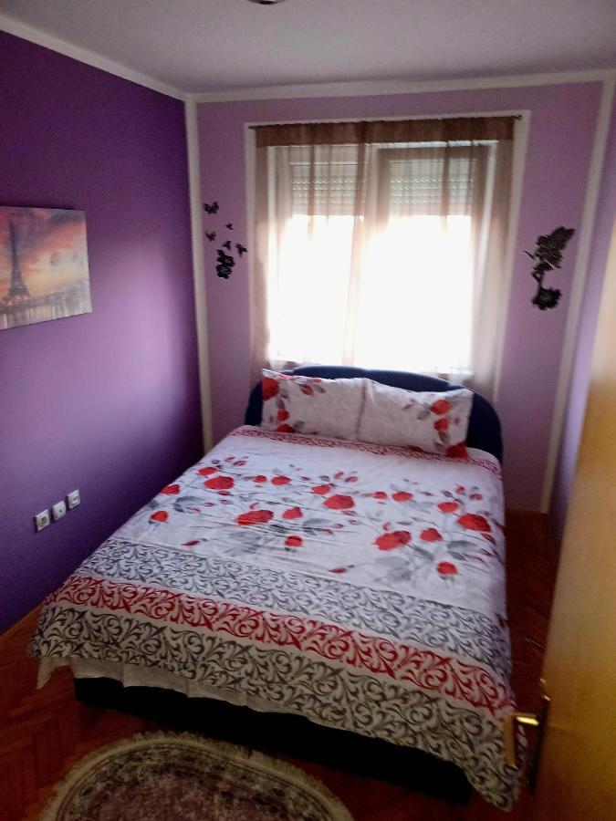 Apartment Lovely L Bn Centar -rent A Car Automatic Bijeljina