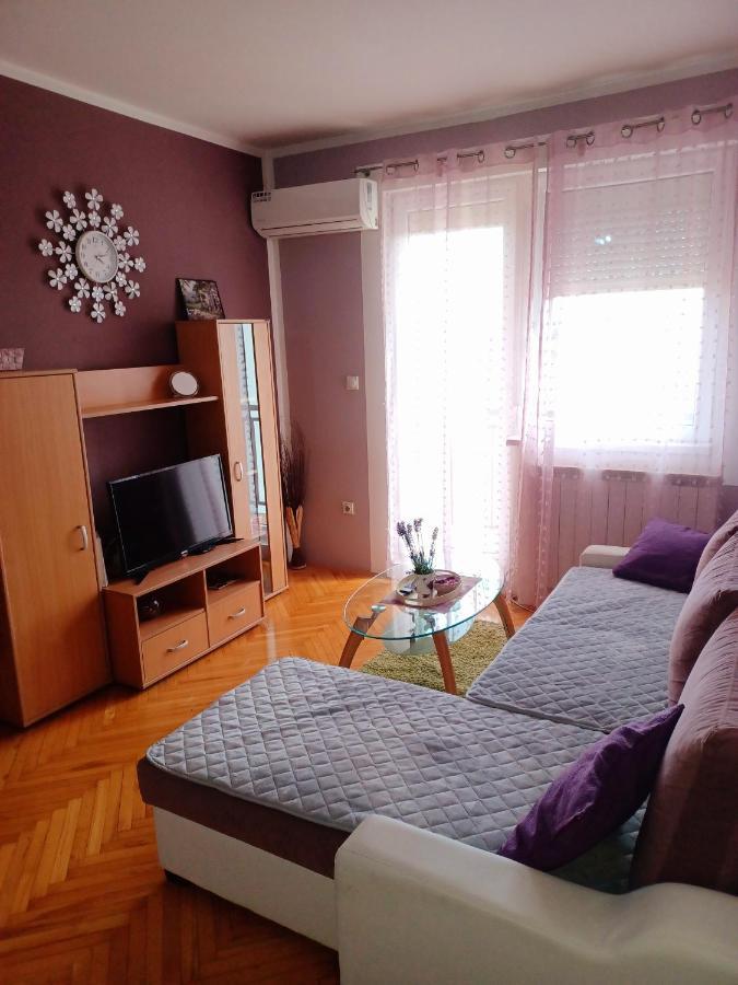 Lovely L Bn Centar -rent A Car Automatic Apartment *